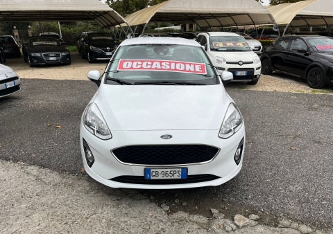 fiesta 15tdci 85cv 5 porte business ok neopatentati