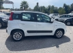 Fiat panda 12 lounge gpl ok neopatentati