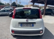 Fiat panda 12 lounge gpl ok neopatentati