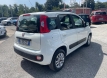 Fiat panda 12 lounge gpl ok neopatentati