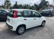 Fiat panda 12 easy power gpl 