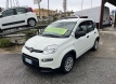 Fiat panda 1000 ibrida comfort