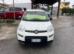 Fiat panda 1000 ibrida comfort