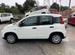 Fiat panda 1000 ibrida comfort