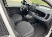 Fiat panda 1000 ibrida comfort