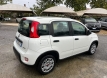 Fiat panda 1000 ibrida comfort