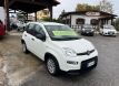 Fiat panda 1000 ibrida comfort