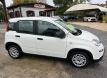 Fiat panda 1000 ibrida comfort