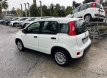 Fiat panda 1000 ibrida comfort