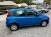 Fiat new panda 1000 ibrida 