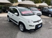 Fiat panda 1000 hybrid city life