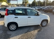 Fiat panda 12 easy power gpl ok neopatentati