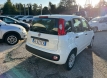 Fiat panda 12 easy power gpl ok neopatentati