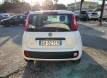 Fiat panda 12 easy power gpl ok neopatentati