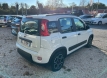 Fiat panda 1000 hybrid city life