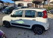 Fiat panda 1000 hybrid city life