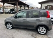 Fiat panda 1000 hybrid city life km0!!!