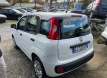 Fiat panda 12 easy power gpl seminuova!!!